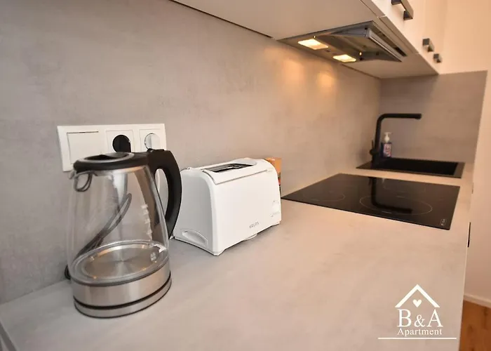 Apartment B & A Mit Balkon Und Parkplatz In Metternich Koblenz (Rhineland-Palatinate)