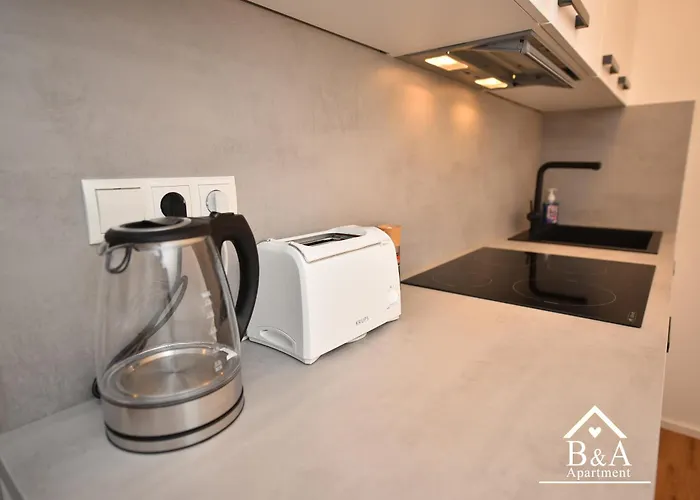 B & A Mit Balkon Und Parkplatz In Metternich Apartment Koblenz (Rhineland-Palatinate)